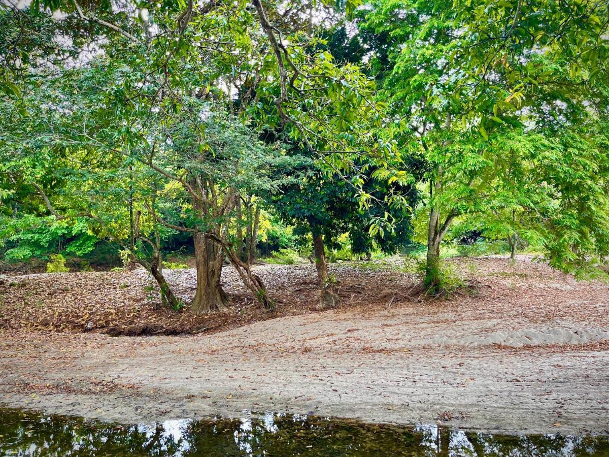 Tayrona Suites El Zaino Exteriér fotografie