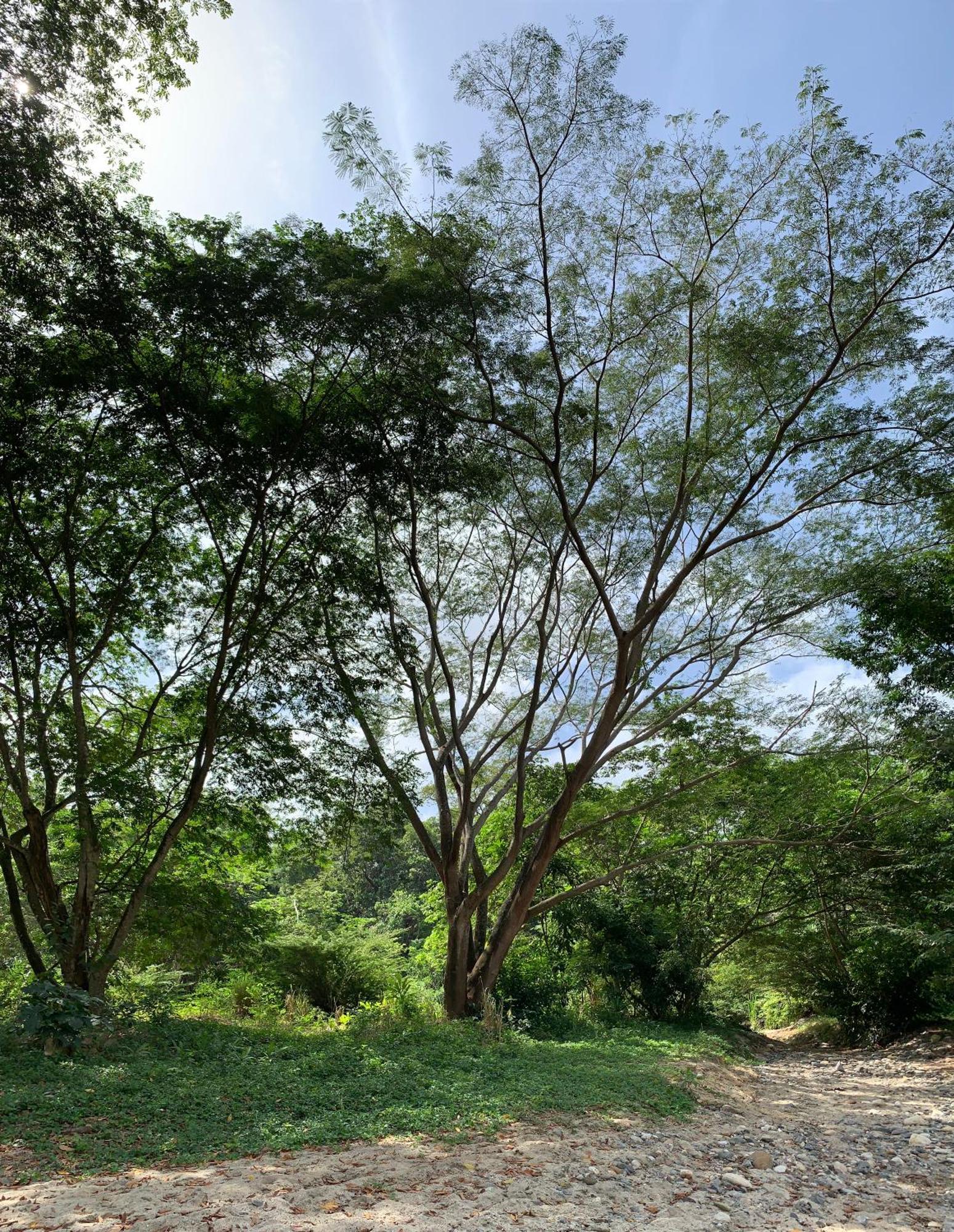 Tayrona Suites El Zaino Exteriér fotografie